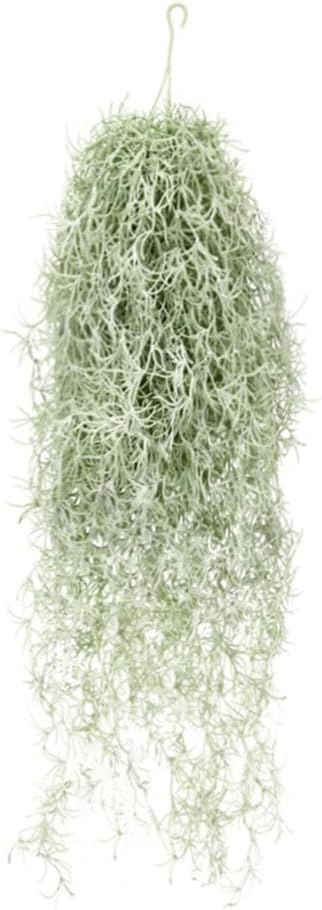 Air Plant Tillandsia - Artificial Flocking Tillandsia Air Plants 31