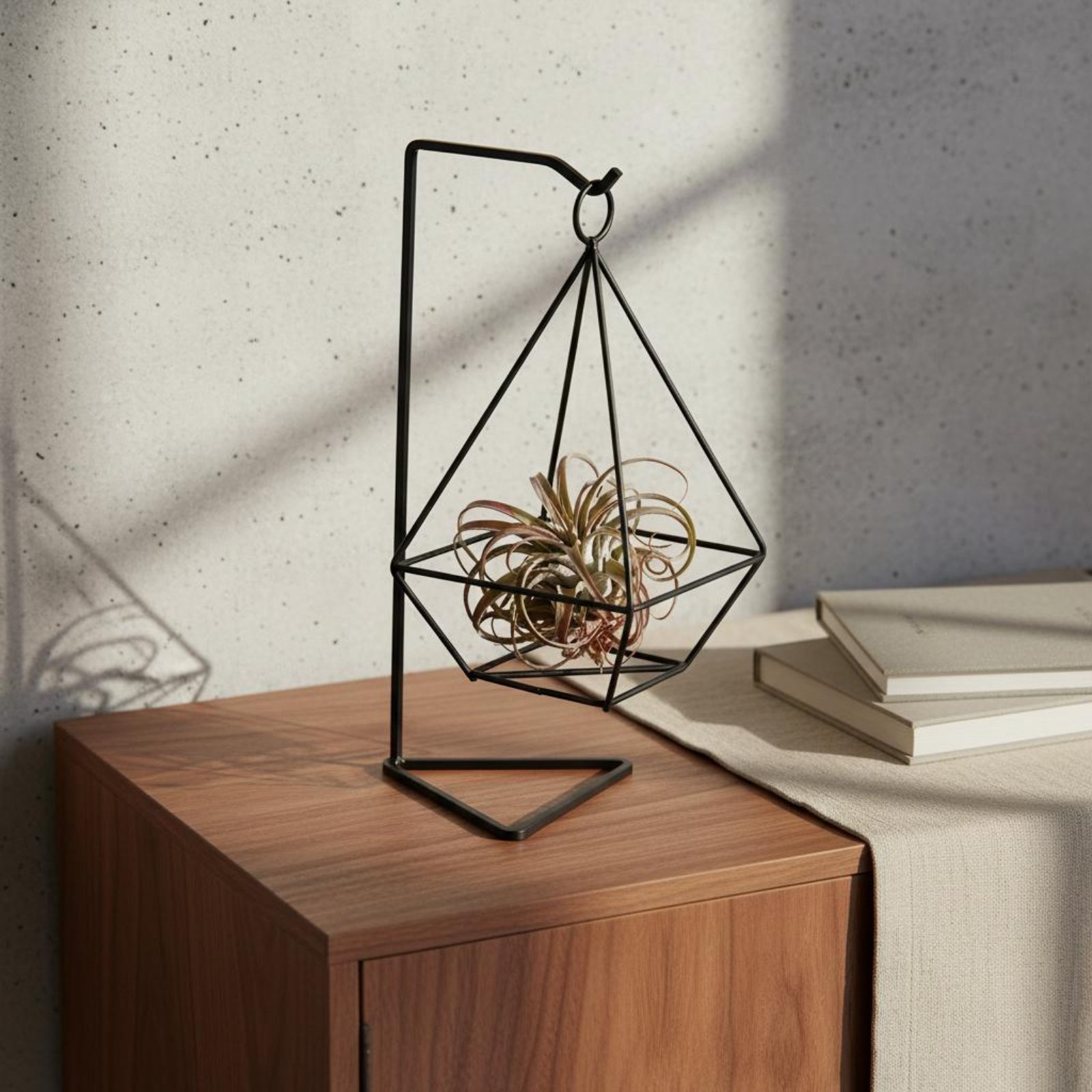 Air Plant Tillandsia - Geometric Air Plant Holder Minimalist Design