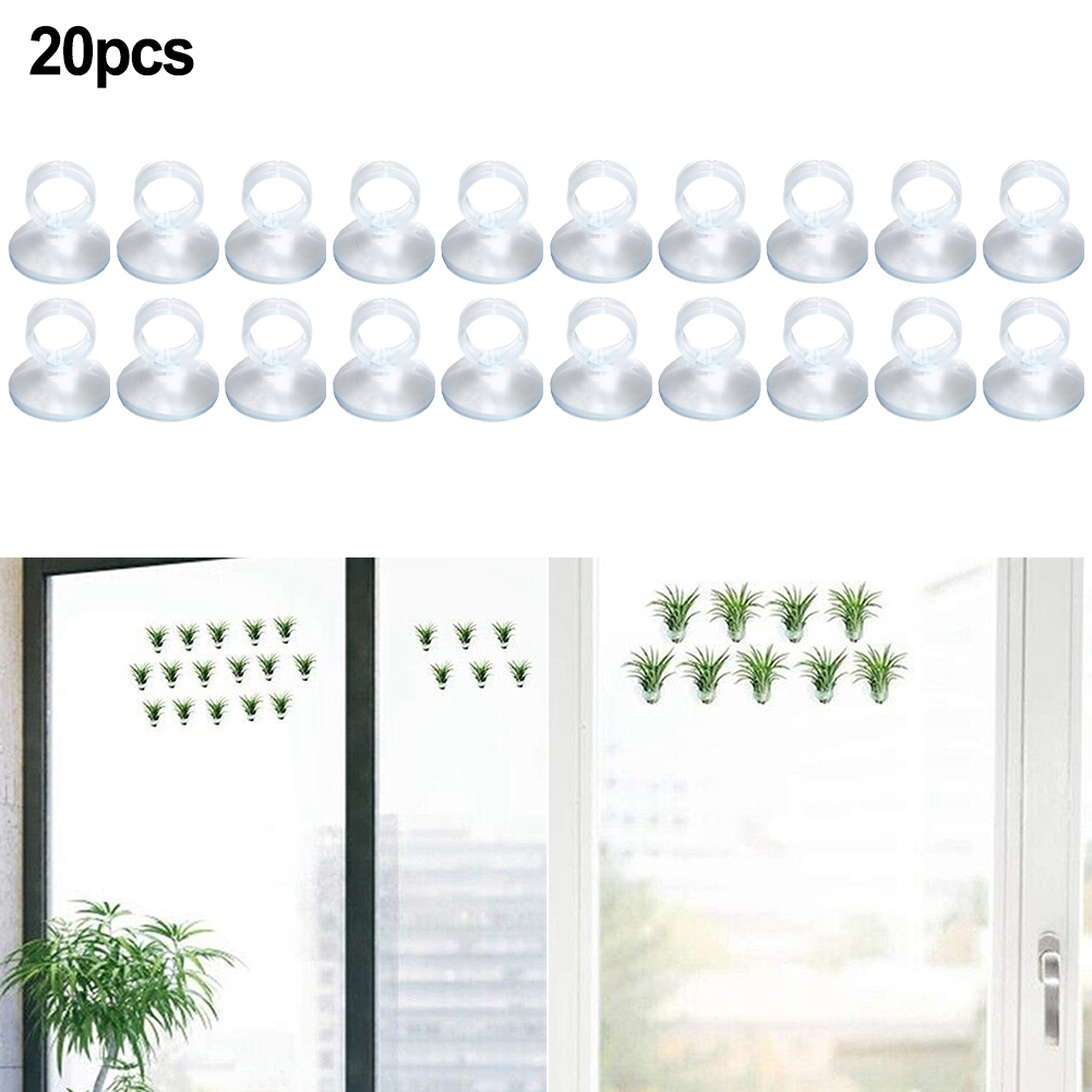 Air Plant Tillandsia - 20 Pcs Air Plant Mounting Holder