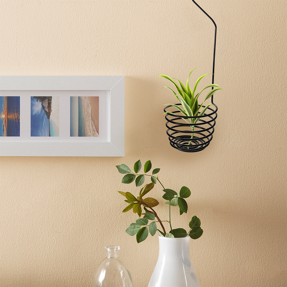 3Pcs Air Plant Hooks Spiral Me - Air Plant Tillandsia recension och pris