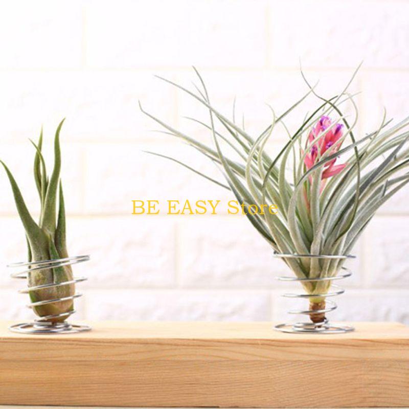 E28F 20 pcs Air Plant Stand Ai - Air Plant Tillandsia recension och pris