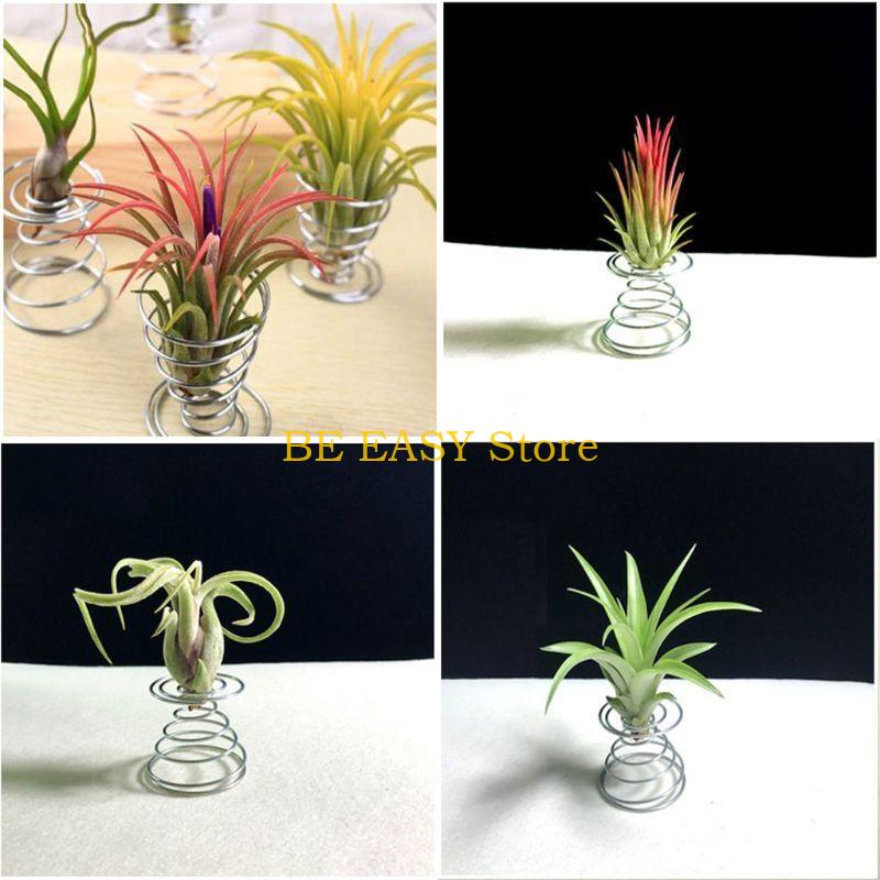 E28F 20 pcs Air Plant Stand Ai - Air Plant Tillandsia recension och pris