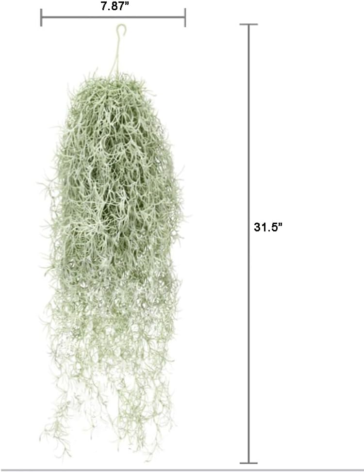 Artificial Flocking Tillandsia - Air Plant Tillandsia recension och pris