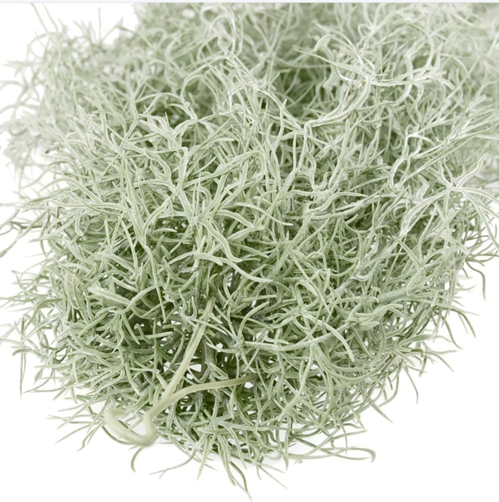 Artificial Flocking Tillandsia - Air Plant Tillandsia recension och pris