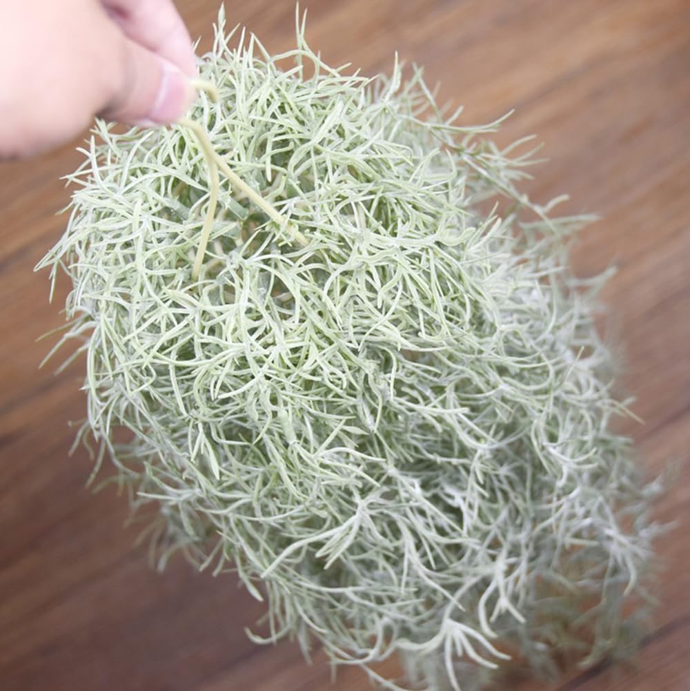 Artificial Flocking Tillandsia - Air Plant Tillandsia recension och pris