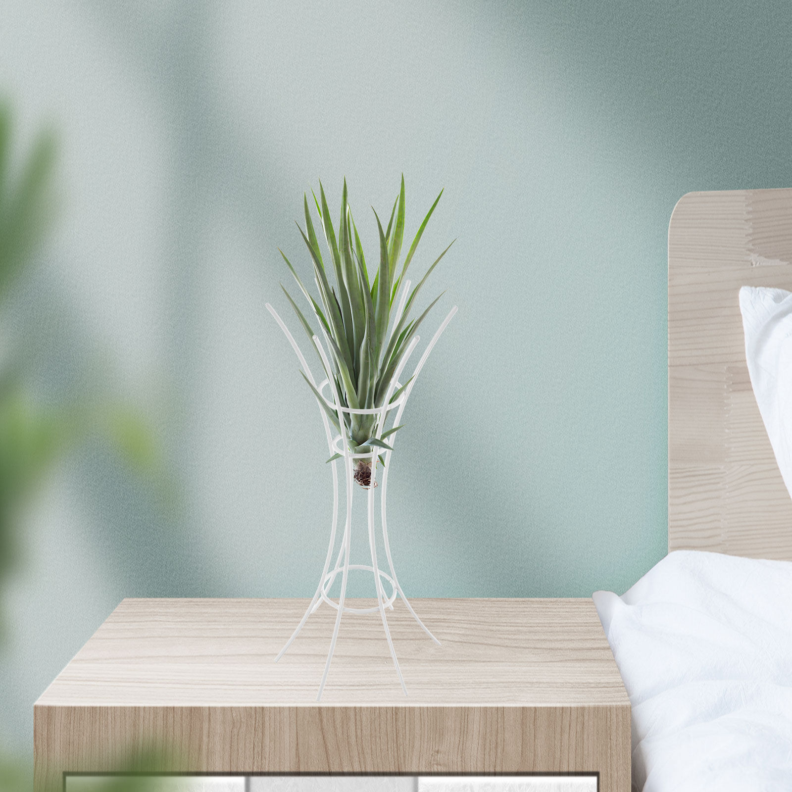 Air Plant Stand Holder Metal D - Air Plant Tillandsia recension och pris