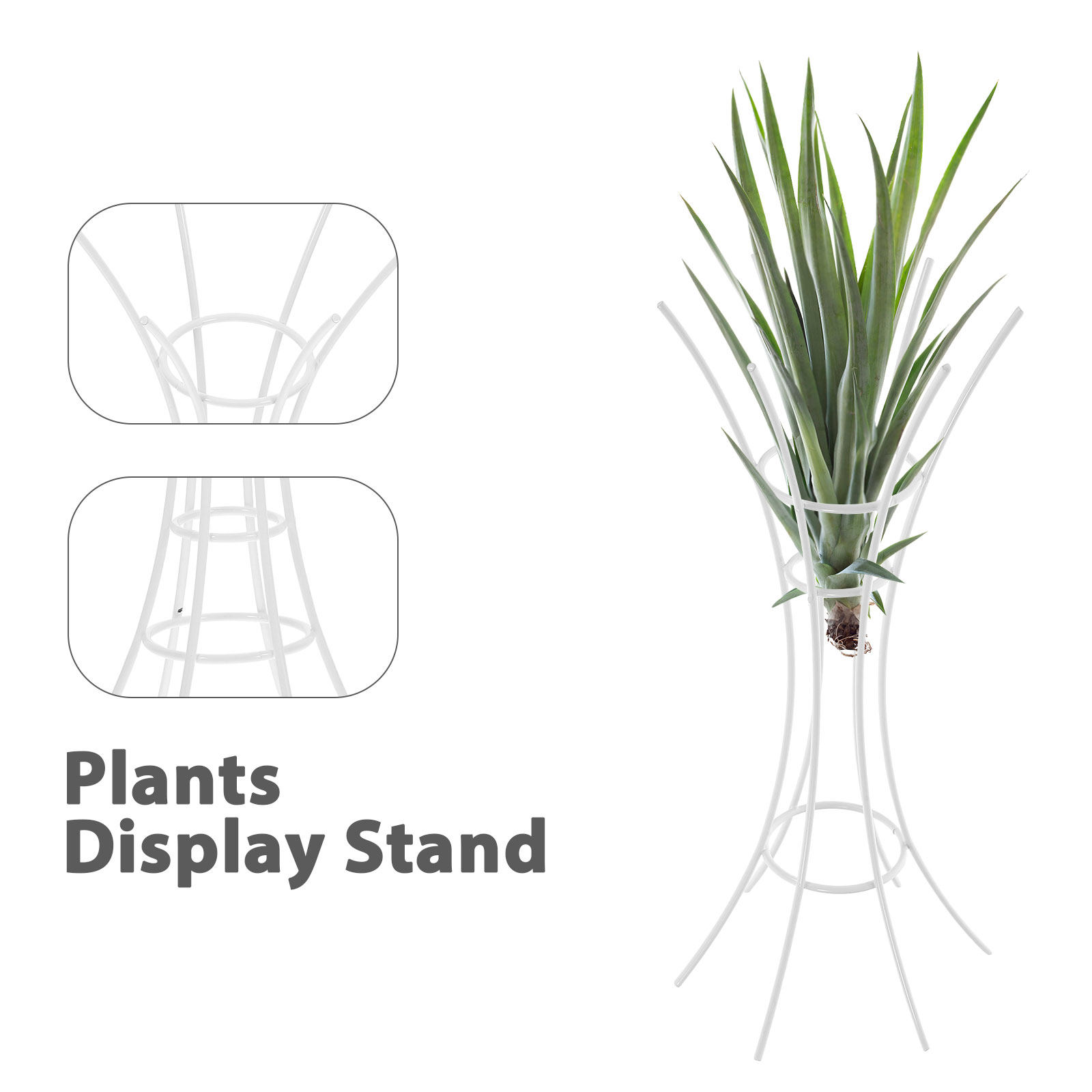 Air Plant Stand Holder Metal D - Air Plant Tillandsia recension och pris