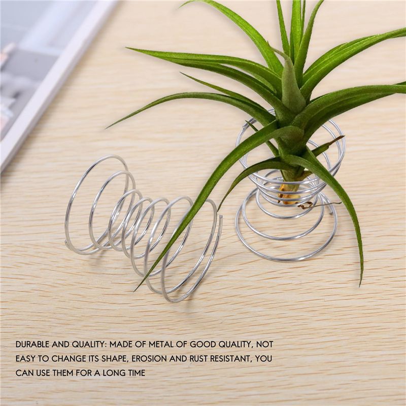 Hot Selling-6 Pieces Air Plant - Air Plant Tillandsia recension och pris