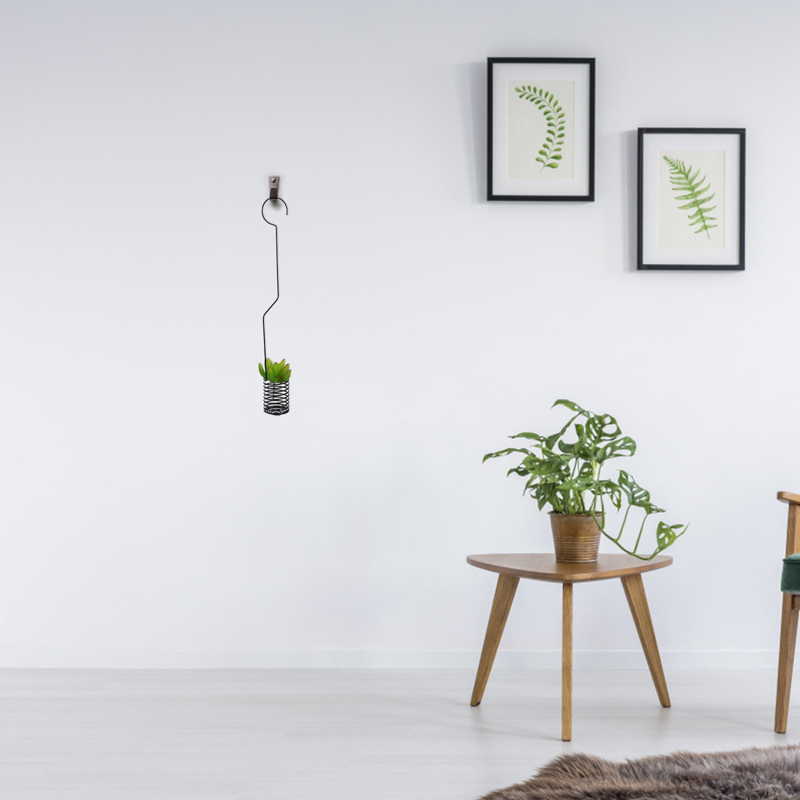 1Pcs Decorative Iron Air Plant - Air Plant Tillandsia recension och pris