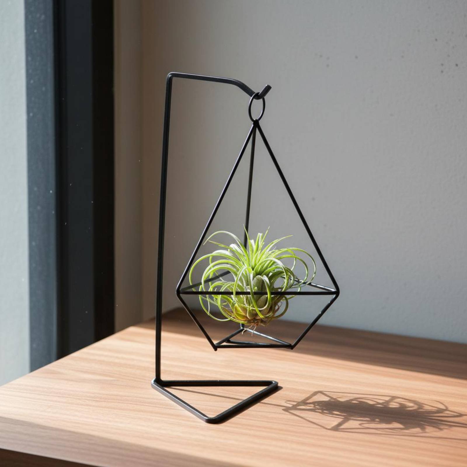 Geometric Air Plant Holder Min - Air Plant Tillandsia recension och pris
