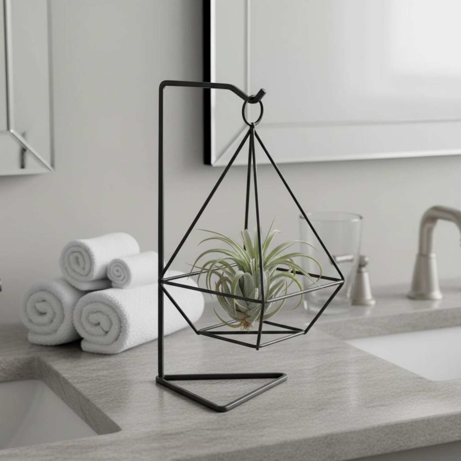 Geometric Air Plant Holder Min - Air Plant Tillandsia recension och pris