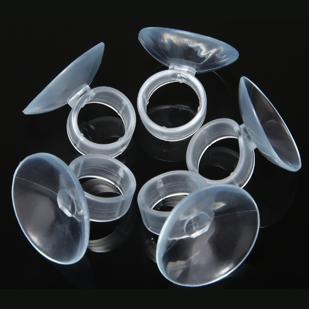 20 Pcs Air Plant Mounting Hold - Air Plant Tillandsia recension och pris
