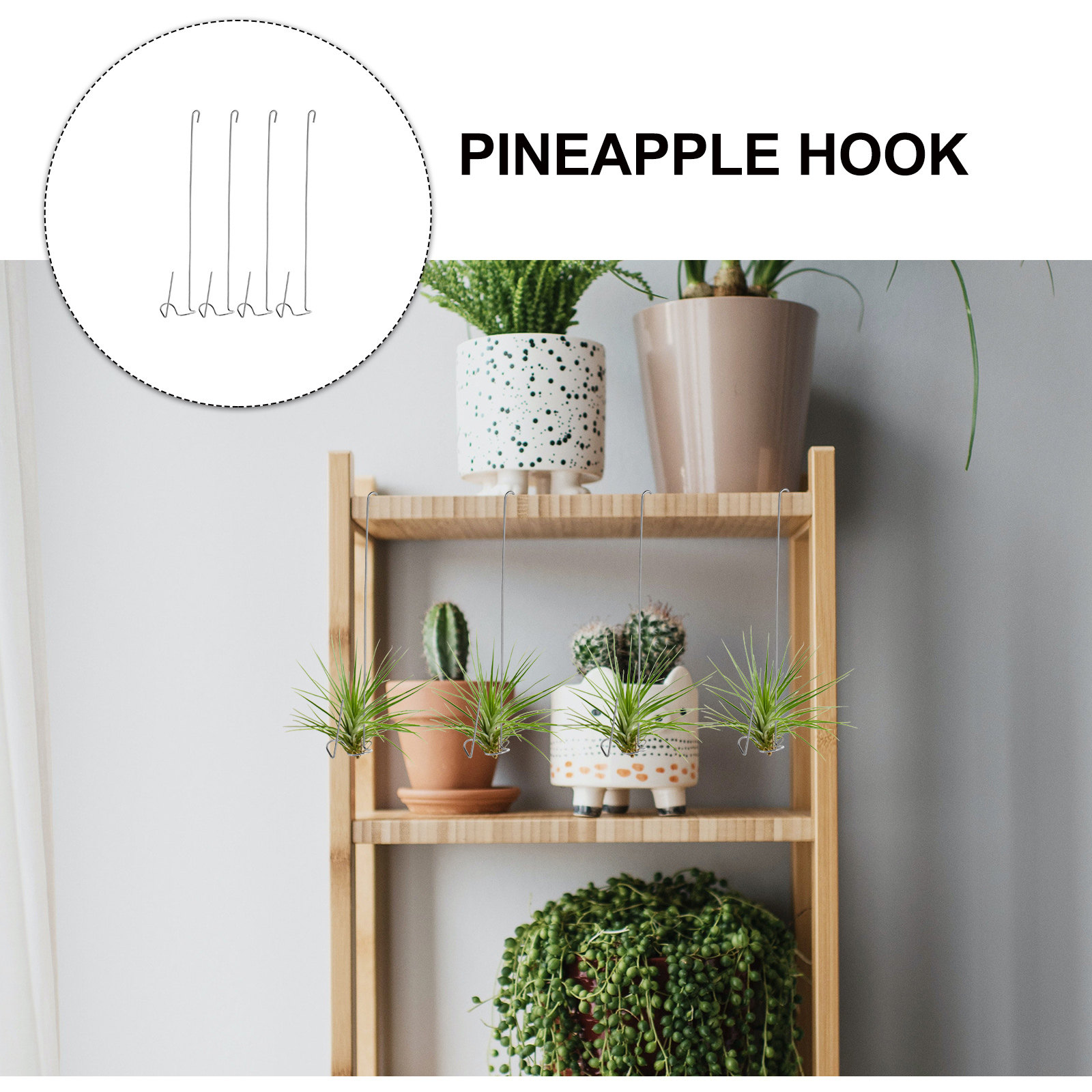 4Pcs Stainless Steel Air Plant - Air Plant Tillandsia recension och pris