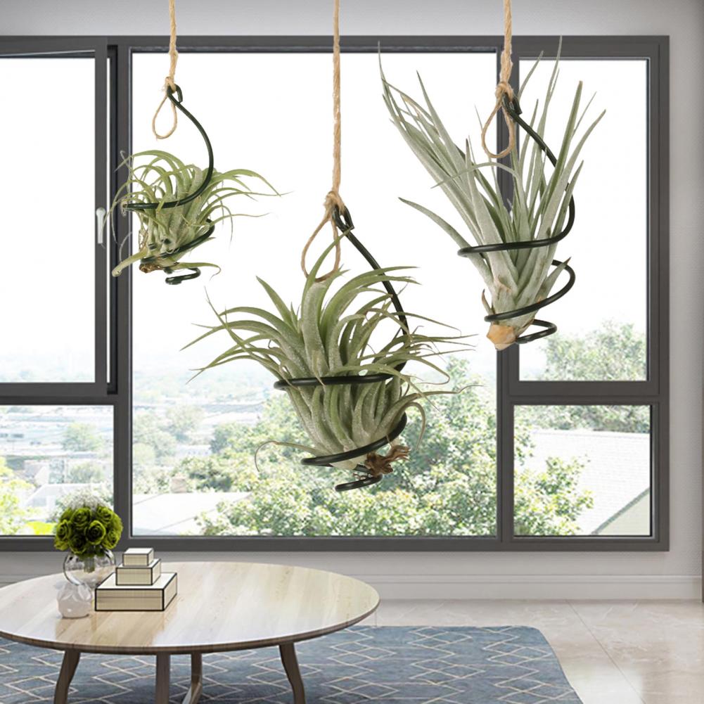 Plant Stand Metal 6 Pcs Metal  - Air Plant Tillandsia recension och pris