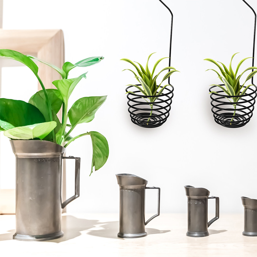 3Pcs Sturdy Metal Spiral Air P - Air Plant Tillandsia recension och pris
