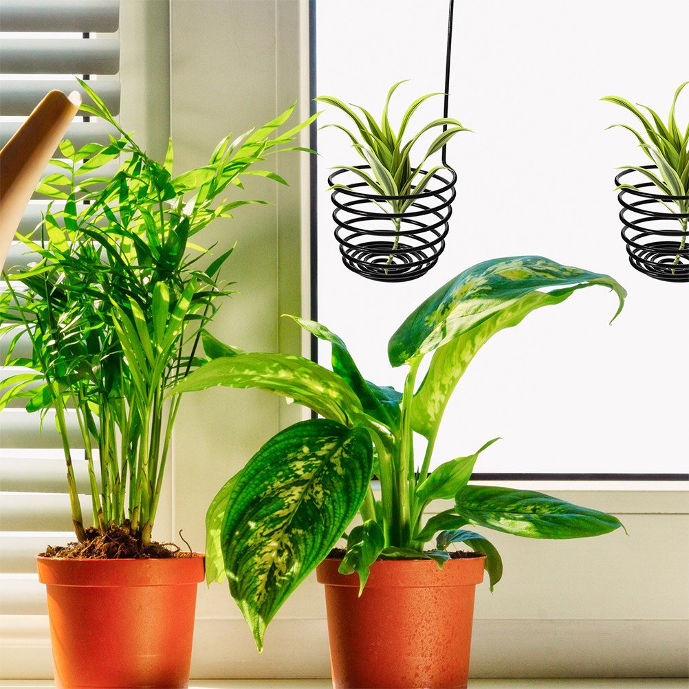 3Pcs Sturdy Metal Spiral Air P - Air Plant Tillandsia recension och pris
