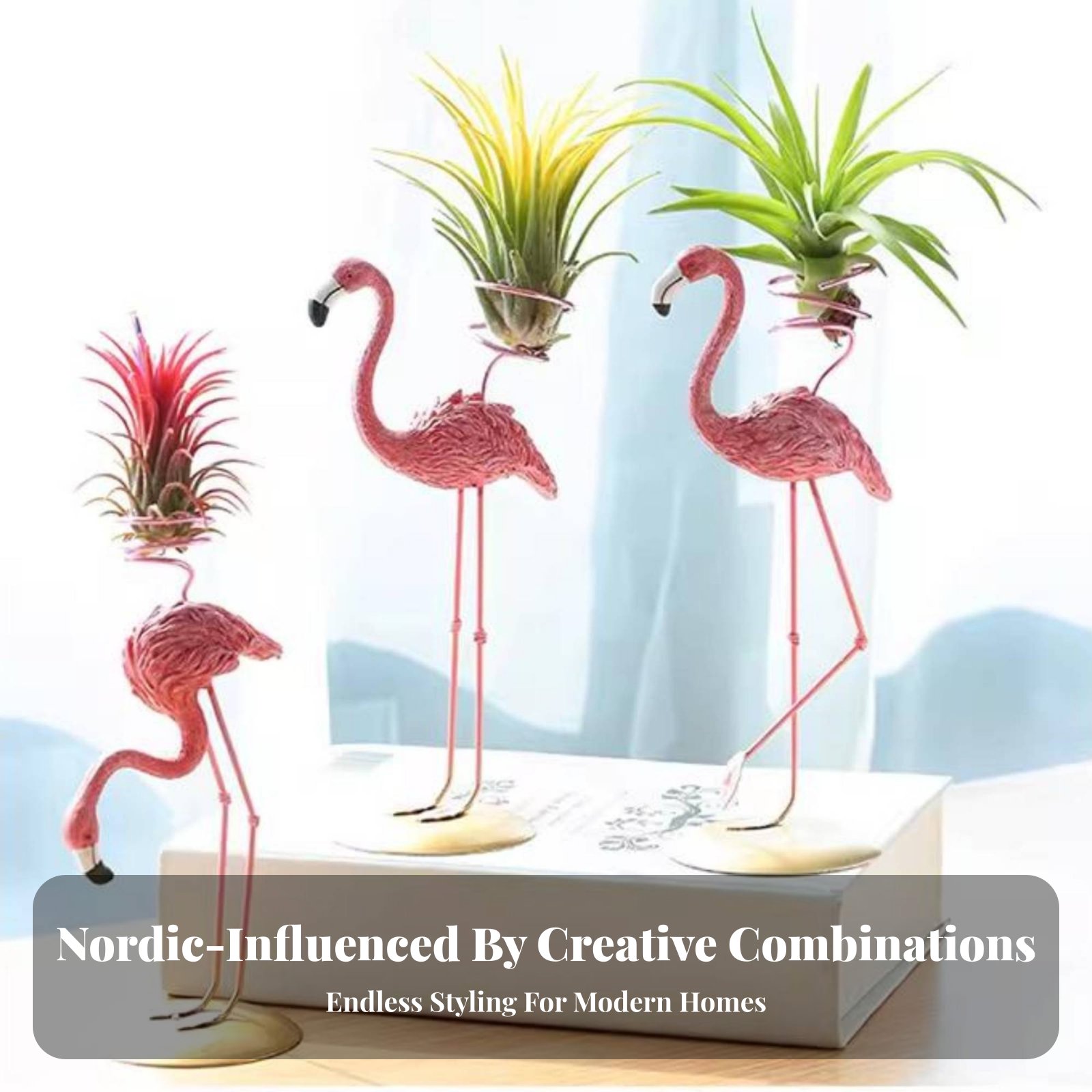 Geometric Tillandsia Holder No - Air Plant Tillandsia recension och pris