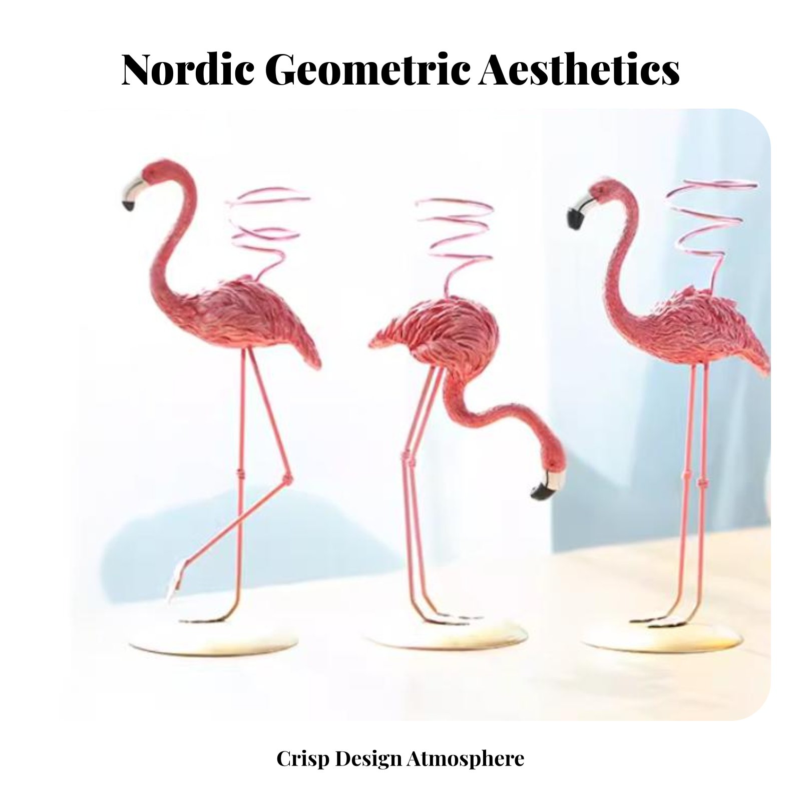 Geometric Tillandsia Holder No - Air Plant Tillandsia recension och pris