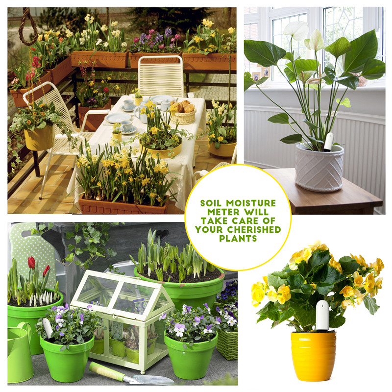 HHCC Xiaomi Flower Care Smart  - Plant Parent App recension och pris